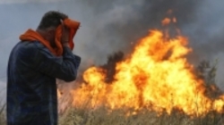 ۵۰ کشته در آتش‌سوزی‌ِ جنگلی یونان