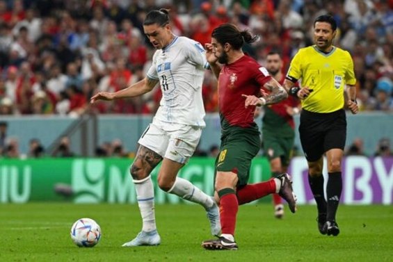 عکسی که پرونده فغانی را در جام جهانی بست
